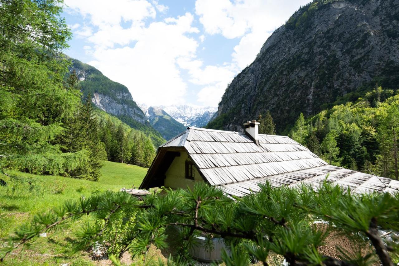 Wild Flower Cottage In Trenta Exteriér fotografie